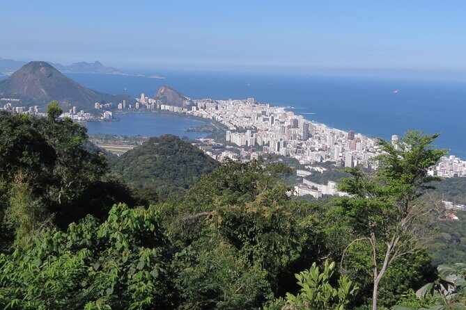 Alternative Viewpoints 4 Hours Private Tour - Vista Chinesa and Tijuca National Park: Forest Stops With Real Views