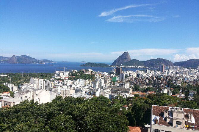 Alternative Viewpoints 4 Hours Private Tour - Botanical Garden and Tijuca Forest: City Nature That Feels Different