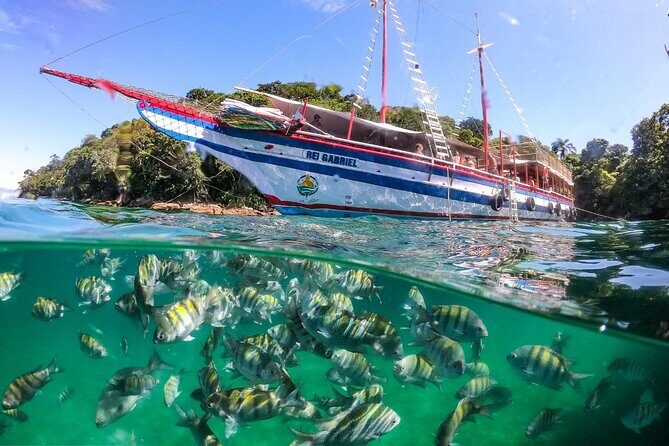 Angra dos Reis and Ilha Grande, Boat Ride from Rio Lunch and Transport - Key Highlights You’ll Actually Feel