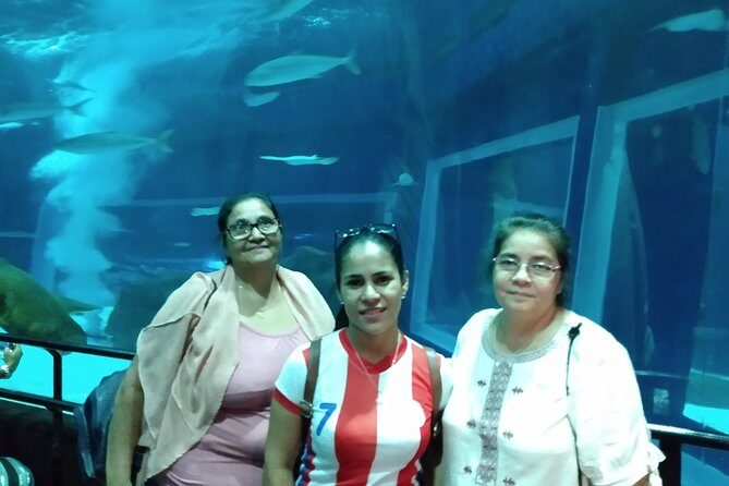 AquaRio + Olympic Boulevard + Transportation - AquaRio: the big-ticket aquarium time block that’s worth it