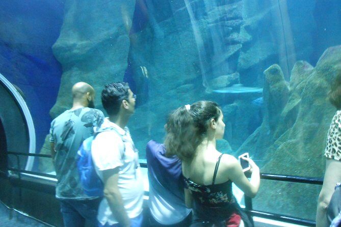 AquaRio + Olympic Boulevard + Transportation - Practical tips to make the day smoother