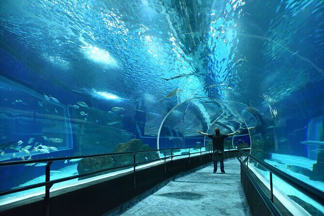 AquaRio Rio de Janeiro Tickets Only - AquaRio Tickets Only: What You’re Really Buying