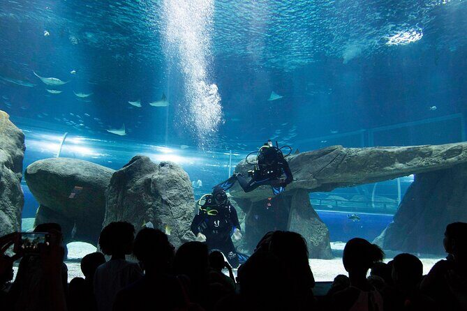 AquaRio Rio de Janeiro Tickets Only - The Marine Life Factor: 2,000+ Animals and 350 Species