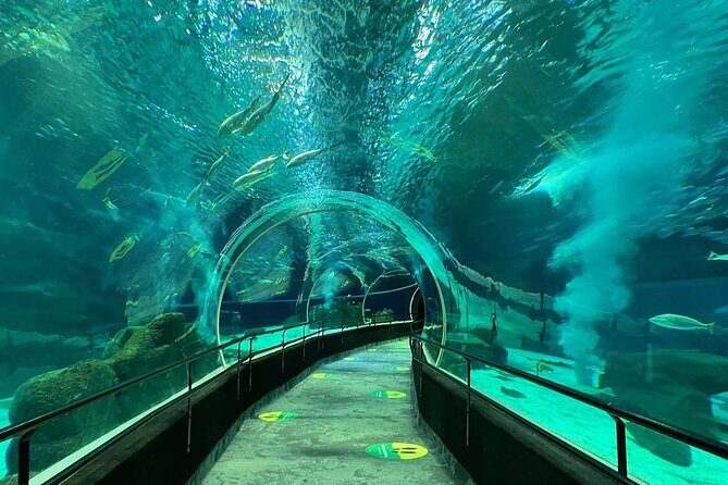 AquaRio Rio de Janeiro Tickets Only - How Long Should You Plan: The 1-Hour Sweet Spot