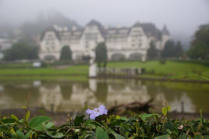 Best Private Tour of Petropolis with Imperial Museum - Quitandinha Palace: a dramatic start with gardens and grand rooms