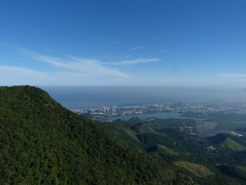 Bico do Papagaio Guided Hiking Tour in the Tijuca Forest - Who this tour is perfect for (and who should skip it)