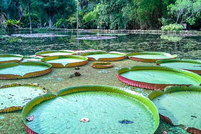 Botanical Garden, a Place of Science, Culture, and Leasure - Key highlights you’ll care about