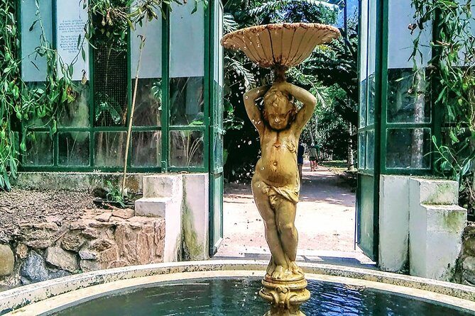 Botanical Garden, a Place of Science, Culture, and Leasure - Botanical Garden: Rio’s outdoor classroom (minus the lectures)