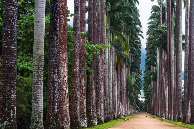 Botanical Garden, a Place of Science, Culture, and Leasure - Bees, flowers, and 6,500 species: what to pay attention to