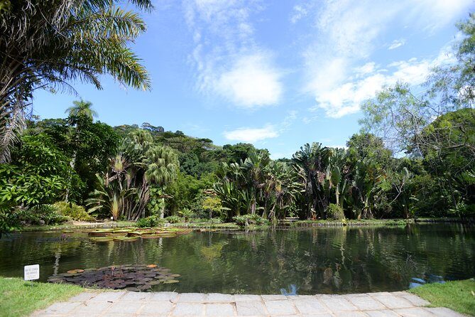 Botanical Garden and Parque Lage Private Tour with a Photographer - Timing, tickets, and weather: how to plan a smooth day