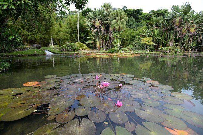 Botanical Garden and Parque Lage Private Tour with a Photographer - Who this tour suits best (and who might prefer something else)