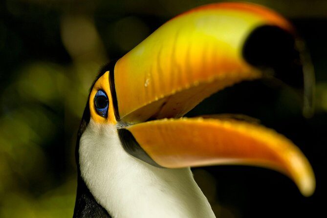 Brazil Family Adventure - Private Multi Day Tour - Key points worth noting