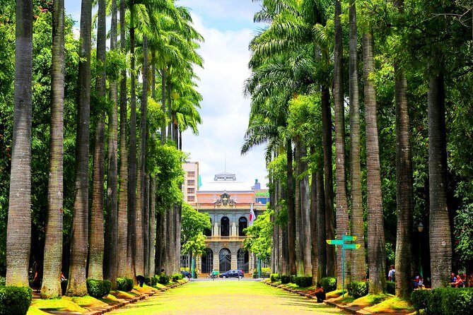 Brazil Family Adventure - Private Multi Day Tour - Daily pace: nonstop sights with built-in recovery time