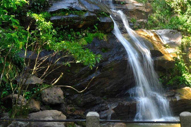 Christ and Tijuca Forest Tour - by Alan Denis - Christ the Redeemer: The Main Stop, Done with Time to Breathe