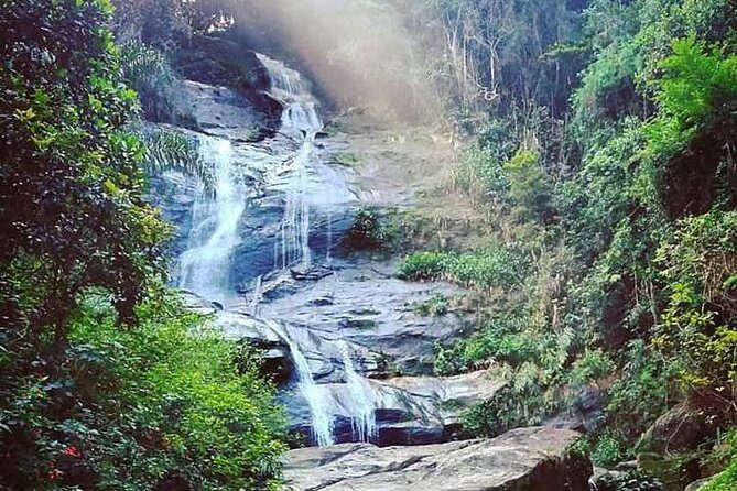 Christ and Tijuca Forest Tour - by Alan Denis - Tijuca National Park Driving Tour: Nature Without the Full Hike