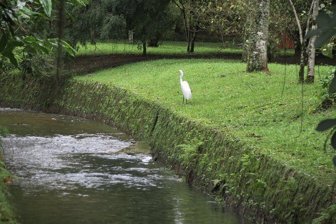 Christ, Botanic Garden & Waterfall Shower. 6 Hours Tour. - The itinerary rhythm: why it feels efficient (and where it can pinch)