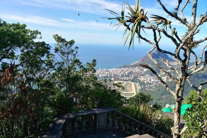 Corcovado and City Tour - Should you book this Corcovado and city tour?