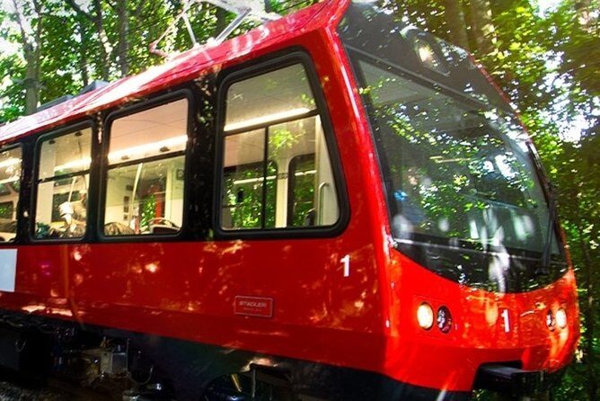 Corcovado Train & Sugarloaf Full-Day City Tour with Lunch - Selarón Steps in Santa Teresa: fast color you can feel