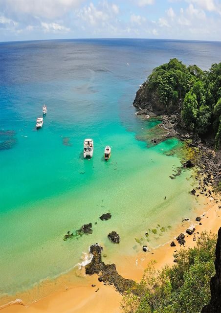 Discover Noronha: 7-Hour Ilhatour Adventure - Pickup, Small Group Size, and What the Shared Format Means