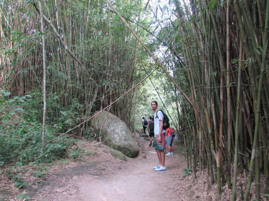 Discover Pedra do Telégrafo: Scenic Hike with Expert Guide - Pedra do Telégrafo Trail: 3.5 km of Views and Real-World Challenge