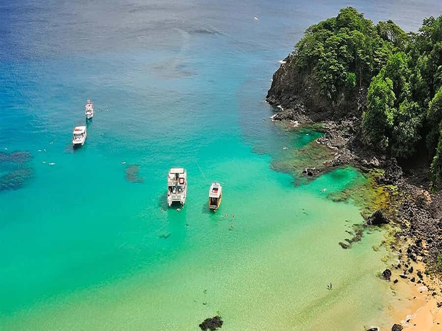 Explore Fernando de Noronha: 7-Hour Ilhatour - Key highlights at a glance