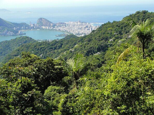 Explore the Best of Tijuca Forest – Hike to Peaks, Caves & Falls - Key Things That Make This Tijuca Forest Tour Work