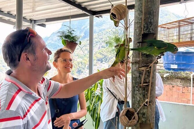 Favela Tour in Rocinha With a Local Guide - The Rocinha Walk: Alleys, Rooftop Views, and Practical Souvenir Time