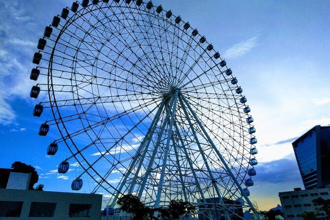 Ferris Wheel Panoramic View & Olympic Boulevard with Transfer - What kind of traveler this suits best