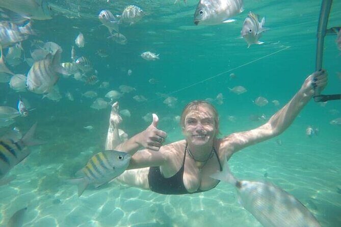 Full-Day Speedboat Tour in Angra and Islands with pick-up in Rio - Key things I think you’ll care about