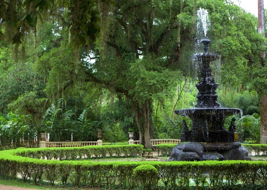 Green Rio: Guided Tour of Botanical Garden and Lage Park - Key things to know before you go