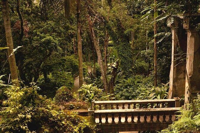 Guided Tour in Tijuca Forest with transfer - Key Highlights You’ll Actually Feel
