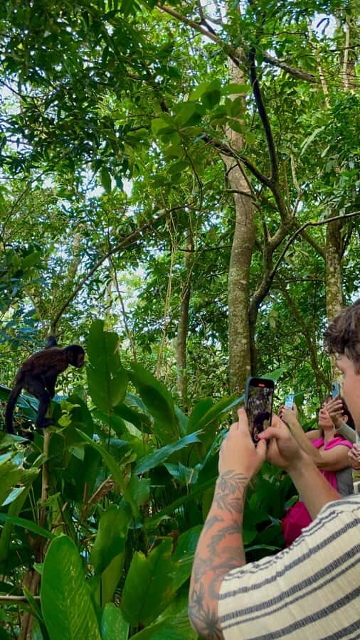 Hike Dois Irmãos + Vidigal Favela Experience - Practical tips that help the day feel smooth