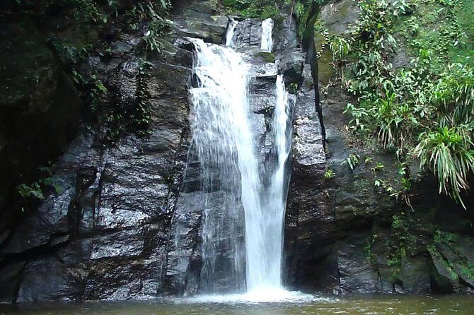 Horto Waterfalls Circuit Adventure Tour in Tijuca National Park - Key things to know before you hike Horto