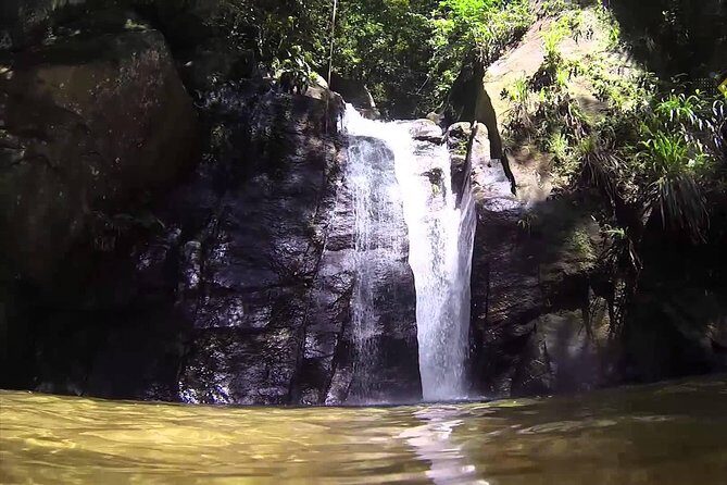 Horto Waterfalls Circuit Adventure Tour in Tijuca National Park - Fitness, footing, and the real story about “light difficulty”