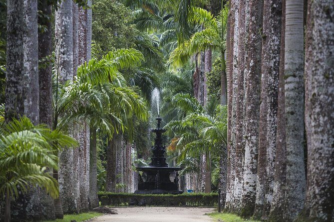Jeep Tour Botanic Garden and Tijuca Rainforest - Hotel Pickup and Timing: The 8:30 Start Matters