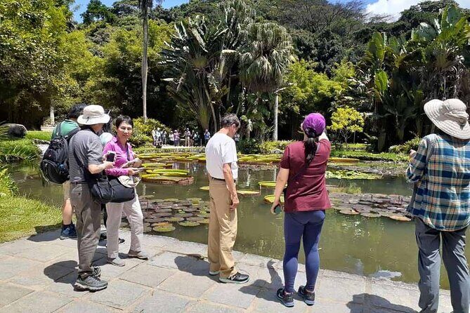 Jeep Tour Botanic Garden and Tijuca Rainforest - Stop 2: Tijuca Rainforest National Park (1 Hour) for Real Green