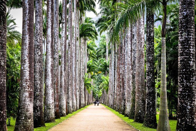 Jeep Tour Botanic Garden and Tijuca Rainforest - Stop 3: Vista Chinesa (Chinese View) for Beach-and-Bay Spectacle