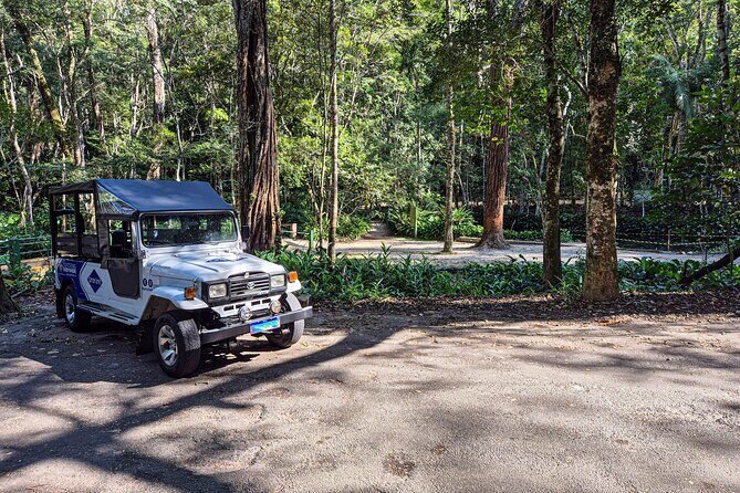 Jeep'n'Culture: Rocinha Favela and Tijuca Rainforest Tour - Wildlife at the Visitor Center Trail: Monkeys, Birds, Butterflies (and Sloths)