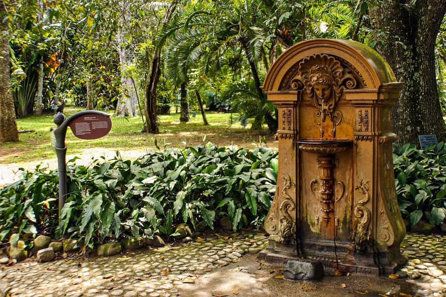 Jeep'n'Green: Rio Botanical Garden & Tijuca Rainforest Tour - Key points to know before you go