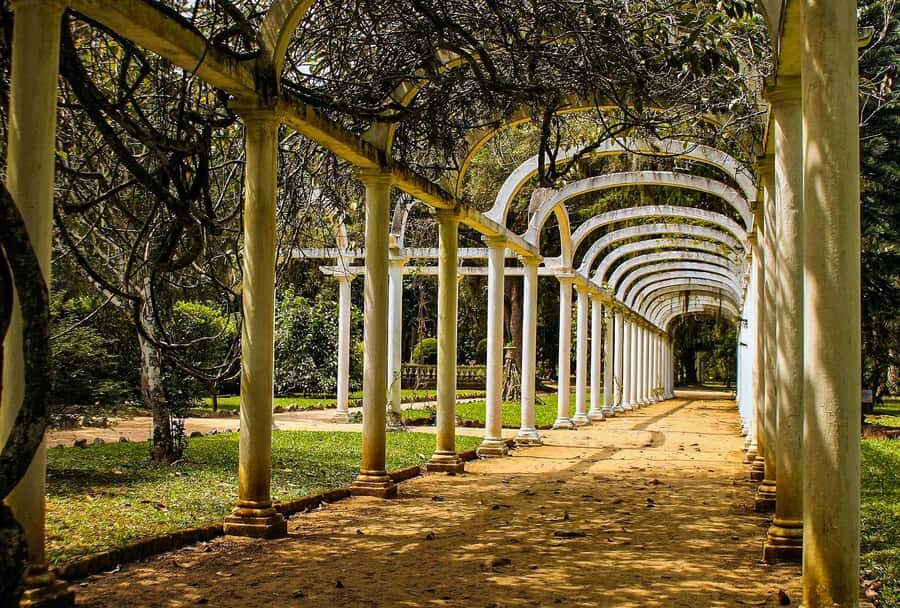 Jeep'n'Green: Rio Botanical Garden & Tijuca Rainforest Tour - Who should book, and who should skip