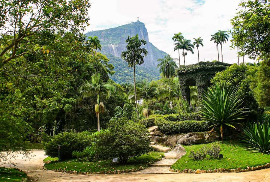 Jeep'n'Green: Rio Botanical Garden & Tijuca Rainforest Tour - Jeeping into Tijuca: Emperor’s Table and Mayrink Chapel viewpoints