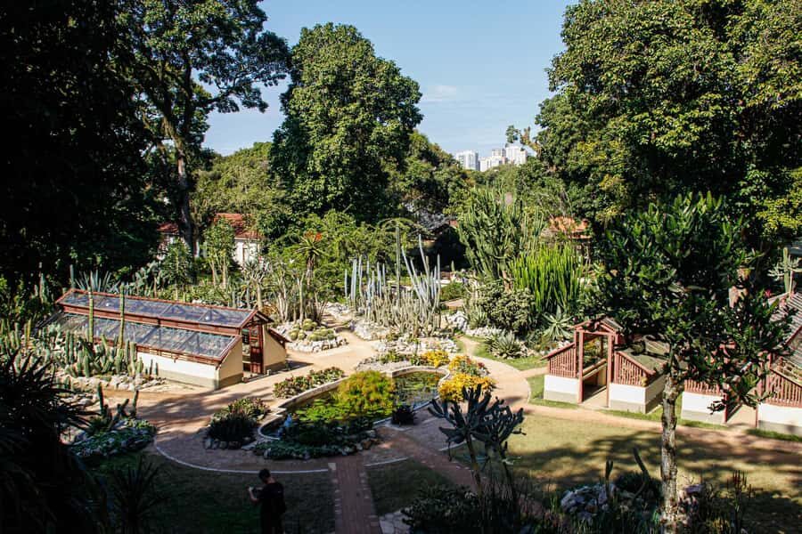 Jeep'n'Green: Rio Botanical Garden & Tijuca Rainforest Tour - Vista Chinesa: the pagoda lookout, and why weekends can be different