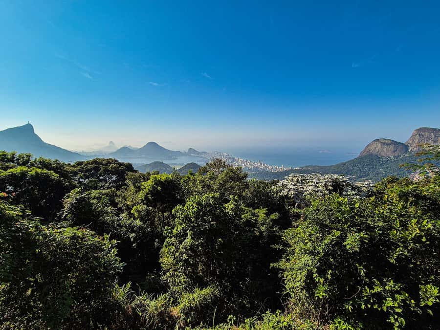 Jeep'n'Green: Rio Botanical Garden & Tijuca Rainforest Tour - Pepino Beach hang-glider stop: Rio’s coast adds variety