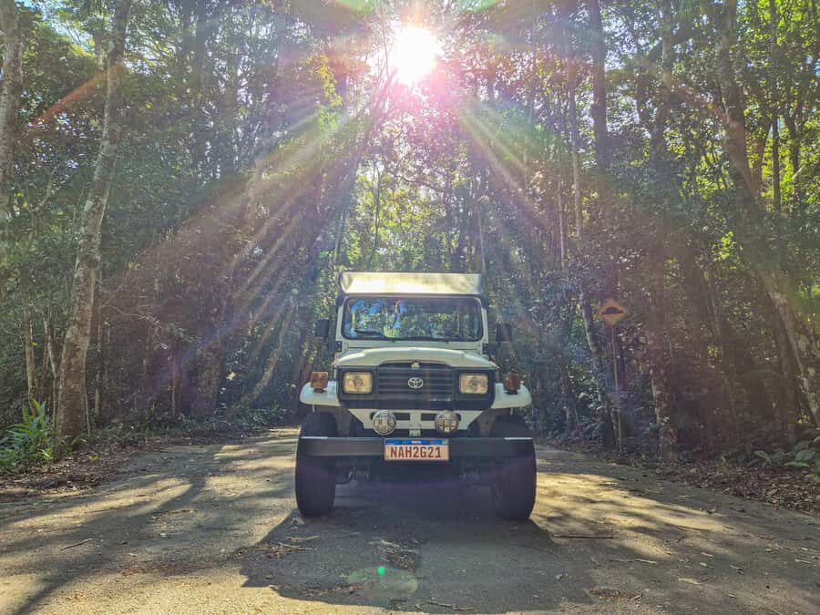 Jeep'n'Green: Rio Botanical Garden & Tijuca Rainforest Tour - Rio Botanical Garden: 6,000+ species, and it’s easier than you think