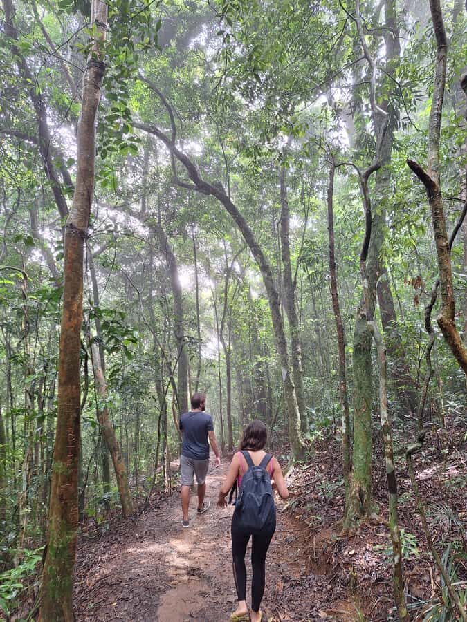 Pedra Bonita Trail: The easiest trail with a beautiful view of Rio - Key things that make Pedra Bonita worth your time