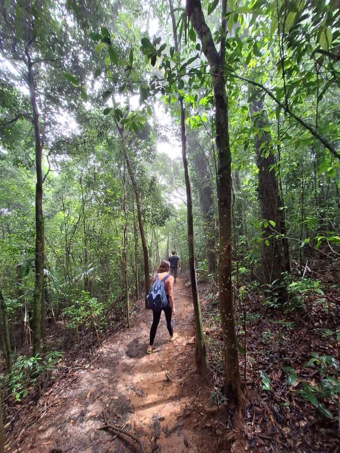 Pedra Bonita Trail: The easiest trail with a beautiful view of Rio - The trail climb: super easy, but don’t ignore the nature