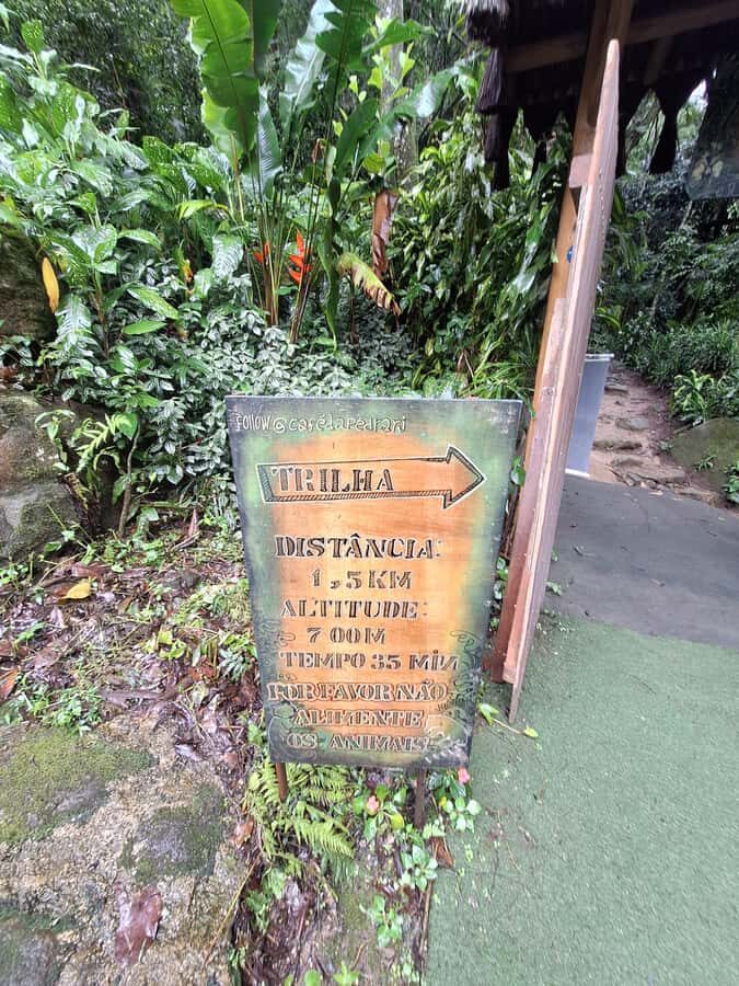 Pedra Bonita Trail: The easiest trail with a beautiful view of Rio - What you gain from an accredited guide in Tijuca Forest