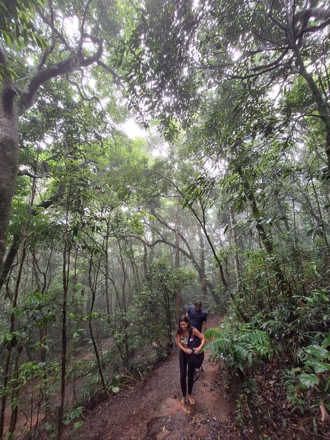 Pedra Bonita Trail: The easiest trail with a beautiful view of Rio - Food, water, and what to bring for comfort