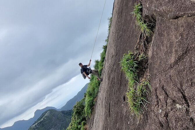 Pedra da Gávea Adventure Tour - Stop 1: Floresta da Tijuca—The Part That Warms You Up (Physically and Visually)