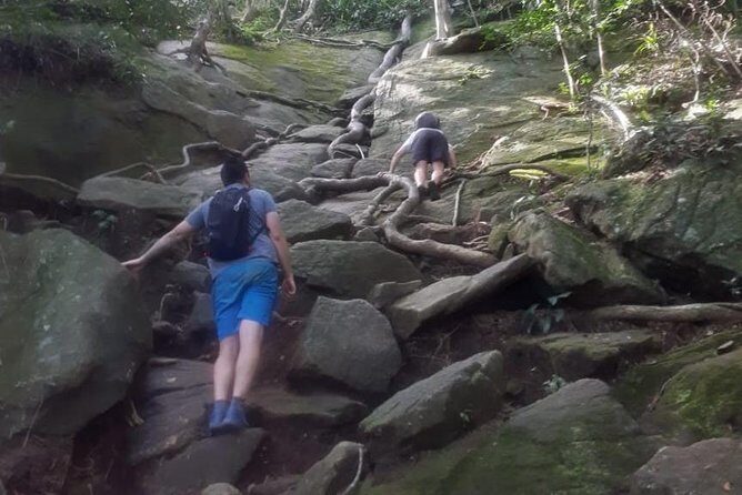 Pedra da Gavea Hike - Best Prices - Small Groups - Quick hits before you tackle Pedra da Gávea